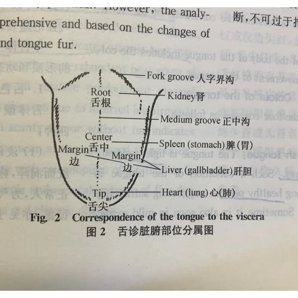 Diagnostics of Traditional Chinese Medicine TCM Shanghai University Press Yanfu